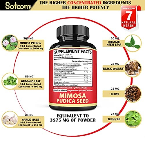 SAFLAX - Gift set - Real Mimosa - 70 Seeds