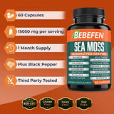 Sea Moss Capsules 15050mg Back to results supps247