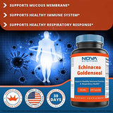 Nova Nutritions Echinacea Goldenseal Complex 450 mg Back to results supps247